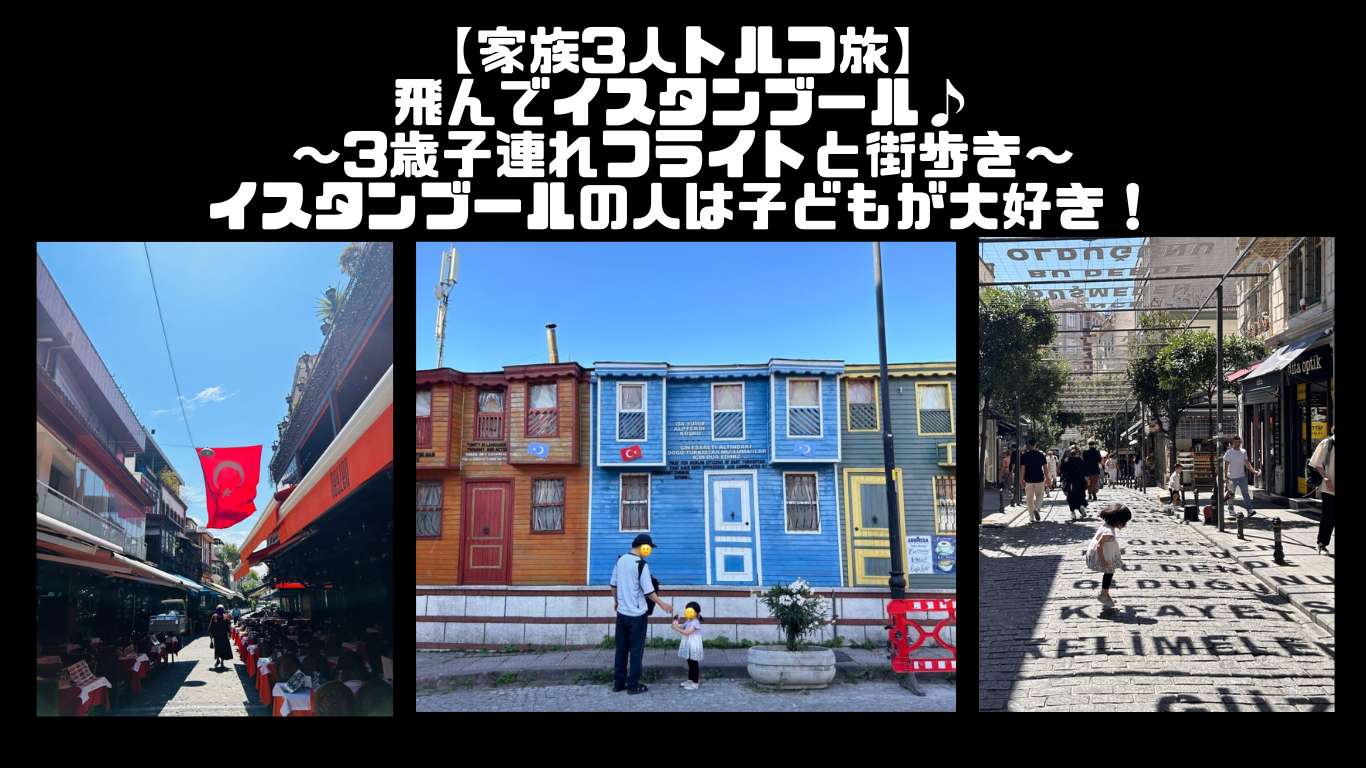 ✈【家族3人トルコ旅】飛んでイスタンブール♪～3歳子連れフライトと街