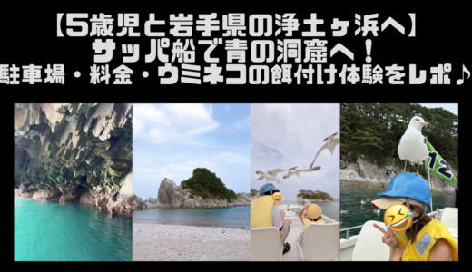 【5歳児と岩手県の浄土ヶ浜へ】サッパ船で青の洞窟へ！駐車場・料金・ウミネコの餌付け体験をレポ♪