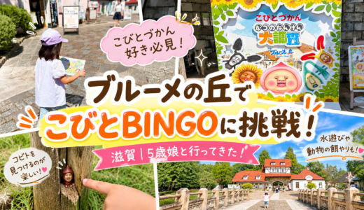 【2026】滋賀県ブルーメの丘でこびとづかん探し！5歳娘と「こびとBINGO」に挑戦してきた！