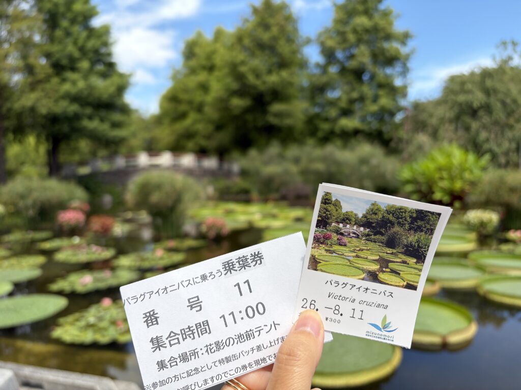 パラグアイオニバスに乗る整理券と入場券