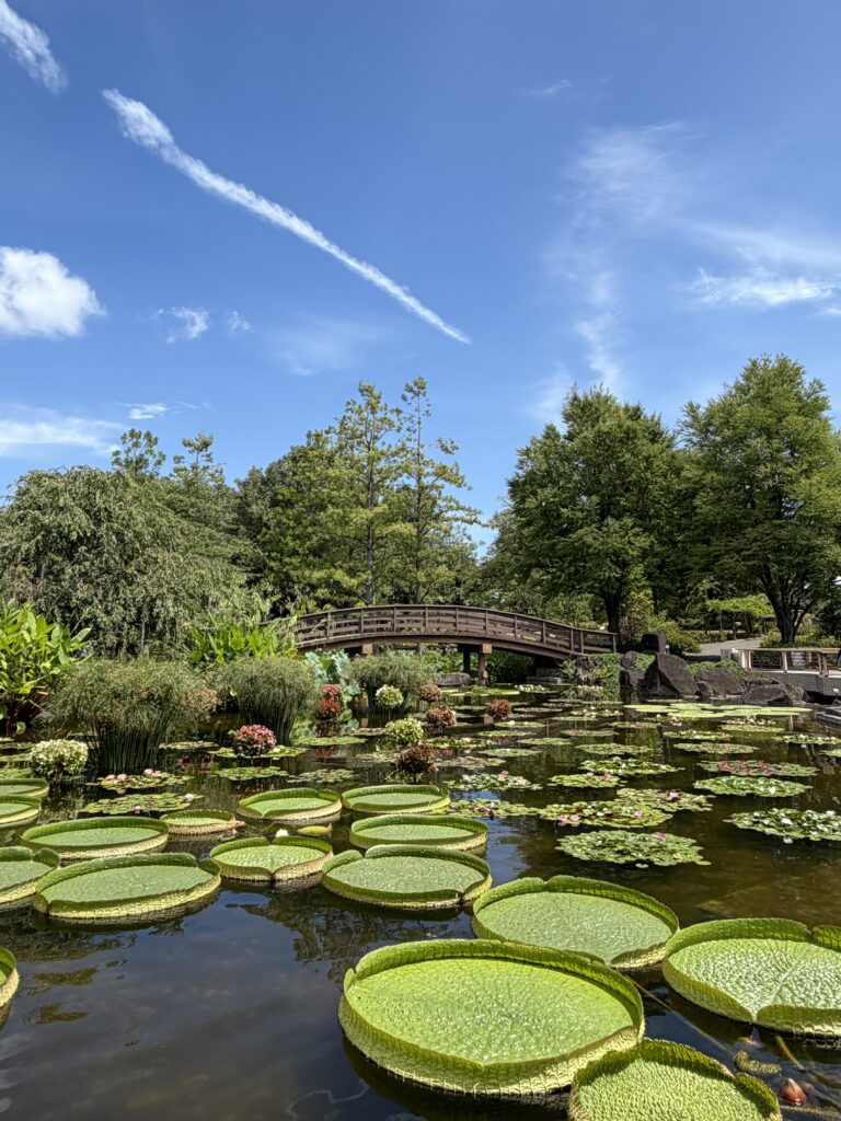 草津市立水生植物公園みずの森