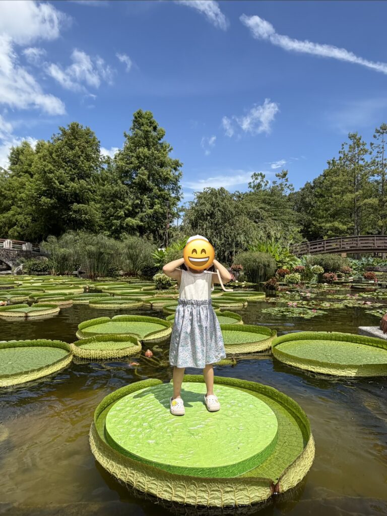 パラグアイオニバスに乗ったよ!