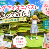 アイキャッチ　パラグアイオニバスに乗ってみた