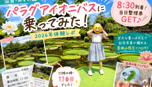 【2026年体験談】滋賀県みずの森のパラグアイオニバスに乗ってきた！当日整理券は何時から並ぶ？並んだ時に13組目…の結果をレポ